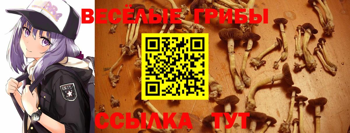 Галлюциногенные грибы прущие грибы Ишим