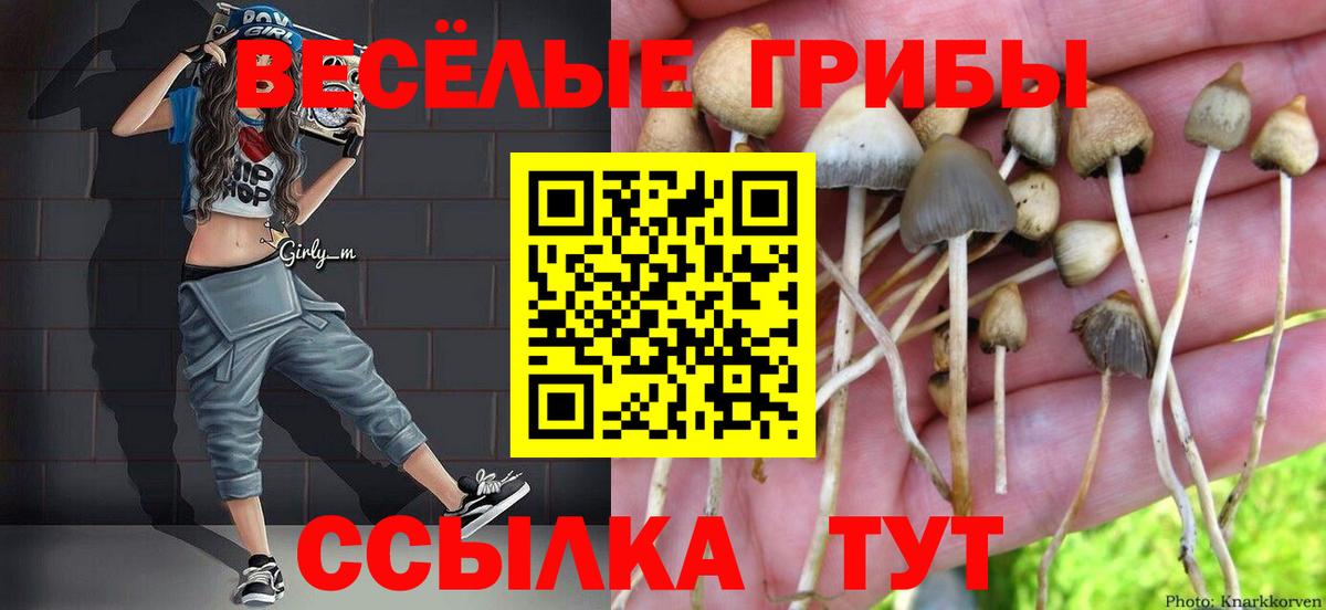 Ишим  Галлюциногенные грибы MAGIC MUSHROOMS  Галлюциногенные грибы ЛСД  Вход с VPN 
