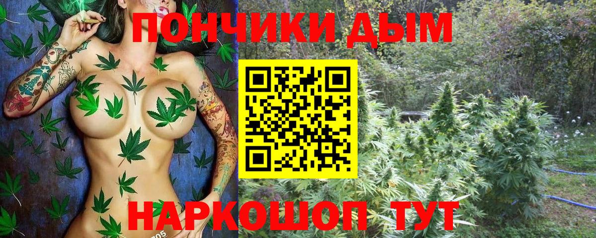 Шишки марихуана MAZAR  Шишки марихуана тримм  Вход с VPN  Каннабис ГИДРОПОН  Ишим  Конопля сатива 